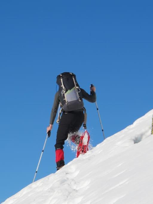 "Le Desman" Confortable T2 A La Montagne Face Aux Thermes Rando, Cure Aulus-les-Bains Zewnętrze zdjęcie