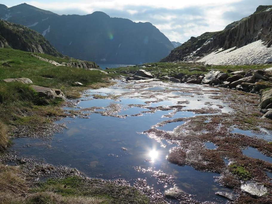"Le Desman" Confortable T2 A La Montagne Face Aux Thermes Rando, Cure Aulus-les-Bains Zewnętrze zdjęcie