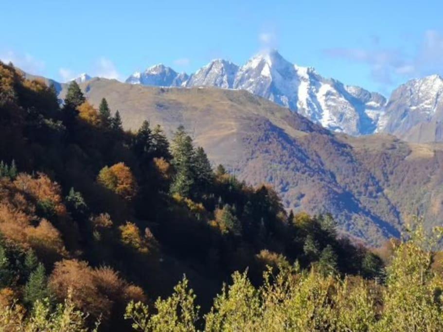 "Le Desman" Confortable T2 A La Montagne Face Aux Thermes Rando, Cure Aulus-les-Bains Zewnętrze zdjęcie